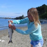 Горбуша сама в руки прыгнула :: ИРЭН@ . Горбуша сама в руки прыгнула :: ИРЭН@ .