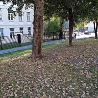 Осень в Москве. :: Владимир Драгунский