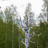 дерево желаний :: navalon M дерево желаний :: navalon M