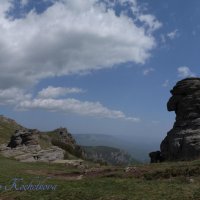 Природа Крыма :: Amazing Cosmea