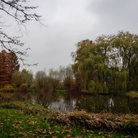 Вокруг пруда... :: Николай Гирш