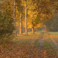 -- :: vladimir -- :: vladimir