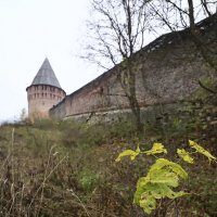 осень у Смоленской крепости :: Тарас Золотько