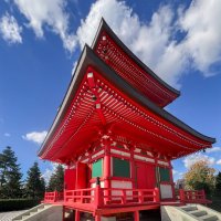 Японский сад в парке Галицкого Пагода Тахото :: Galina 