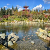 Японский сад в парке Галицкого Зеркальный пруд Кагамиикэ :: Galina 