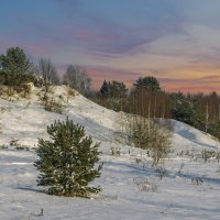 Зимний . :: Александр Иванович Шитов