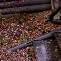 Парк осенью в дождливый день :: Светлана Мишенёва