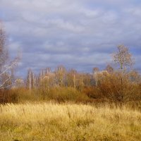 Середина осени :: Сергей Ц