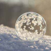 Пузырь :: Андрей Пристяжнюк