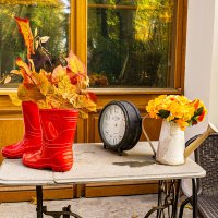 Осенний натюрморт :: Ирина Соловьёва Осенний натюрморт :: Ирина Соловьёва