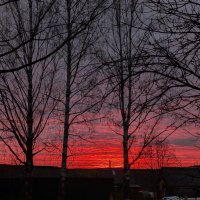 Закат :: Анастасия Логинова