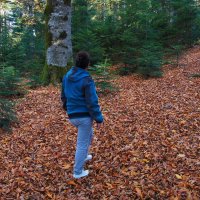 Гузерипль :: Сергей Запорожцев