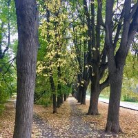 Осень в городе :: Алевтина 