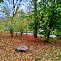 Осенний листопад! :: Надежда 