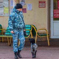 Собачья работа. :: Анатолий. Chesnavik.