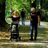 И у собак бывает счастливое детство! :: Владимир Манкер И у собак бывает счастливое детство! :: Владимир Манкер