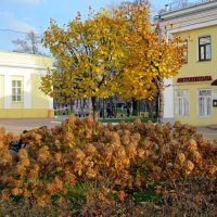 Сюжет начала ноября :: Galina Solovova