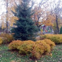 В осеннем парке :: Galina Solovova В осеннем парке :: Galina Solovova