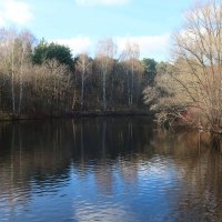 Лесное озеро :: Дмитрий И_ Лесное озеро :: Дмитрий И_