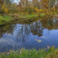 Осень :: Сергей Цветков
