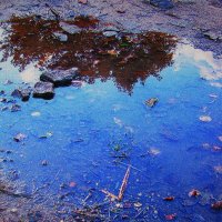 Отражение в луже :: Людмила Смородинская Отражение в луже :: Людмила Смородинская