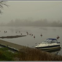 Туманно... :: Aleksandr Gal