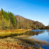 Про смоленскую осень. :: Милешкин Владимир Алексеевич 