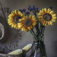 ..... :: Шумер +