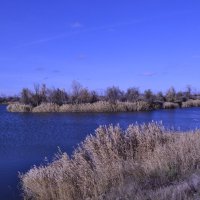 *** :: Виктор *** :: Виктор