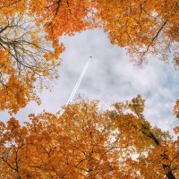 Осень :: Владимир Колесников