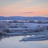 **** :: Елизавета .