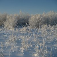 Зима :: Anna Ivanova Зима :: Anna Ivanova