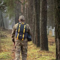 По осенней тропинке :: Алексей Ковынев