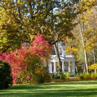 Кемерский парк. :: Геннадий Порохов