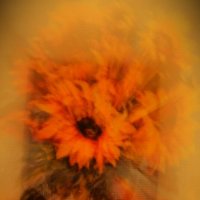 Вангог 2 :: Юрий Полторыхин.