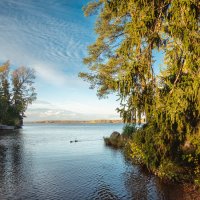 В парке Монрепо :: Nyusha .