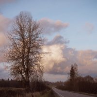 без названия :: fogmeadowww m