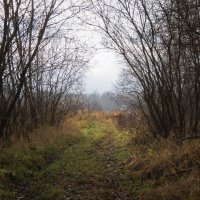 тропинка :: fogmeadowww m