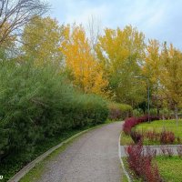 В ростовском экопарке Первая миля :: Нина Бутко