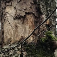 Старина… :: Любовь 