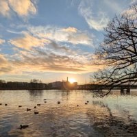 Осень :: Венера Чуйкова Осень :: Венера Чуйкова