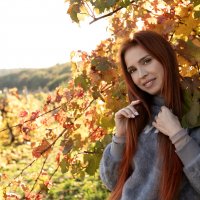 Осень... :: Ron Nessi 