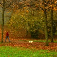 Прогулка :: Юрий. Шмаков