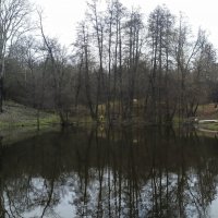 Осень... :: Игорь Шевердин