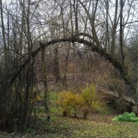 Осень... :: Игорь Шевердин