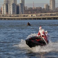 Летят стрелой со скоростью ветра :: Татьяна Машошина