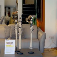 Divani Center 09,11,2025Г :: ujgcvbif 