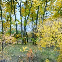 Берег :: Андрей Л. В.