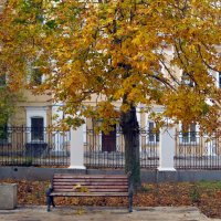 Падают листья с каштанов :: Galina Solovova