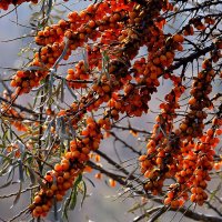 - :: Владимир Мигонькин